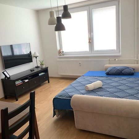 Apartman Volterka Plesivec Ngoại thất bức ảnh